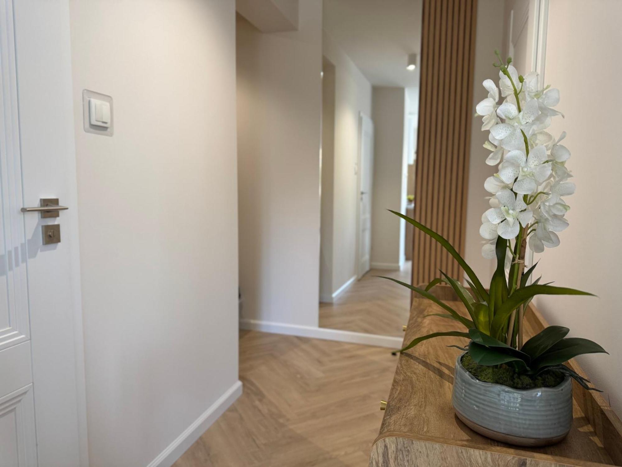 Apartamenty Baltica -Zielone Tarasy Kołobrzeg Extérieur photo